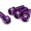 Reverse Schrauben Set Für Scheibenbremse M6 X 18mm - 4 Stück - Purple 1 Reverse Schrauben Set Für Scheibenbremse M6 X 18mm - 4 Stück - Purple -Fahrradzubehör 01830 15KmQHqHF69f6J