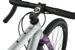 Rondo Ruut CF2 Gravelbike - Silver/Purple -Fahrradzubehör 331 2311