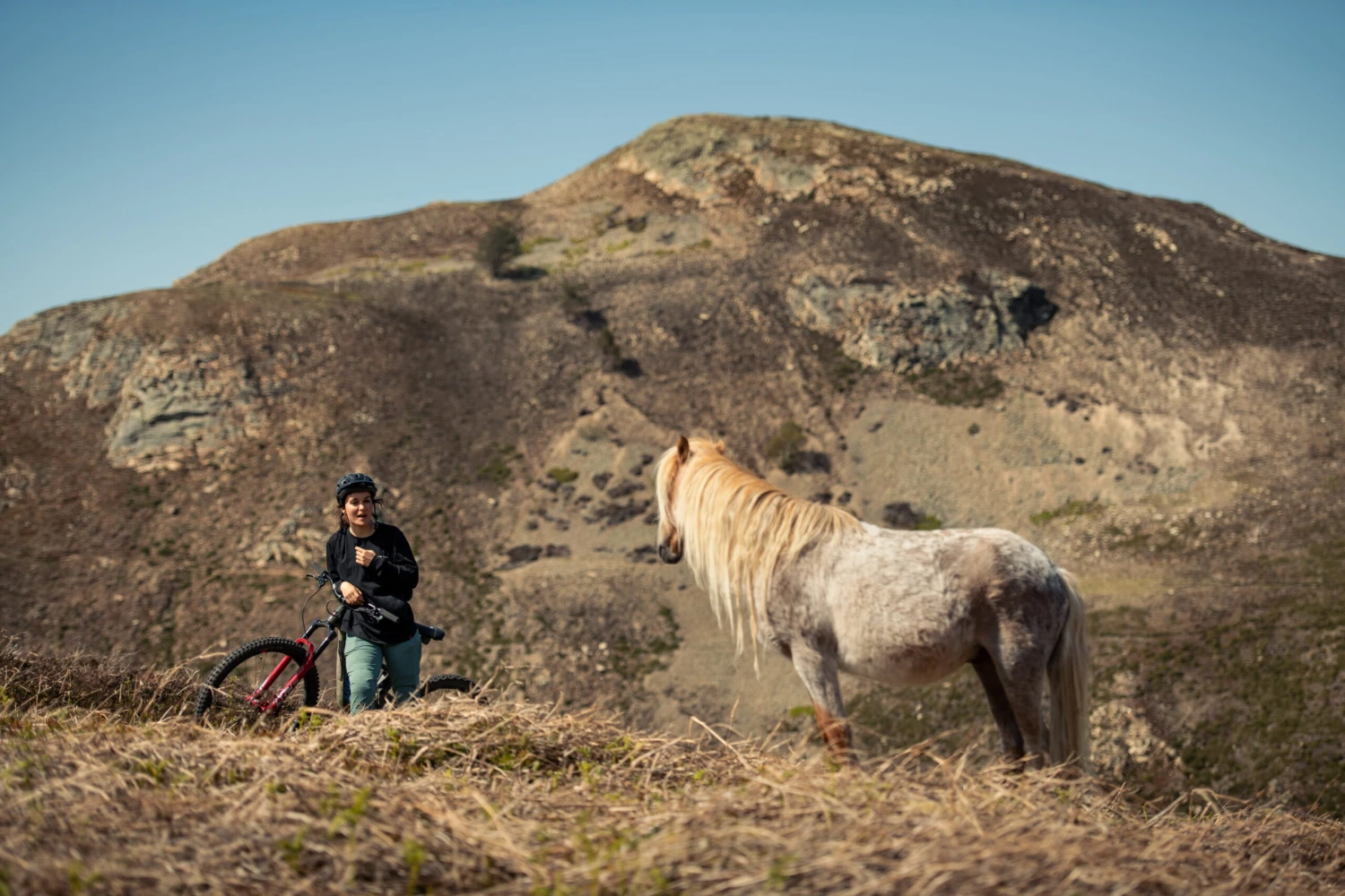 Santa Cruz Bronson 4 C MX XT RSV Gloss Moss And Blue 9 Santa Cruz Bronson 4 C MX XT RSV Gloss Moss And Blue – Bild 7